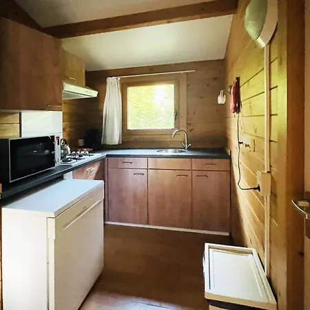 De Brenkberg By Interhome Semesterbostad Schinveld